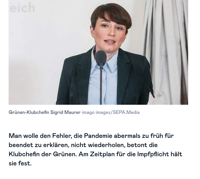 screenshot diepresse.com